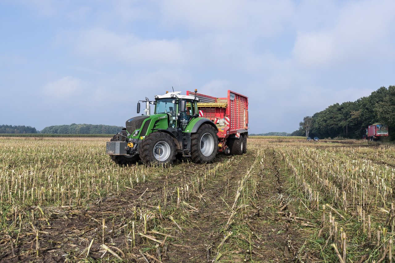 Bild 152 - Maisernte